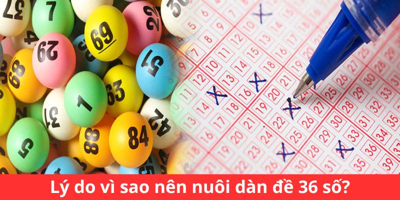 Lý do vì sao nên nuôi dàn đề 36 số?