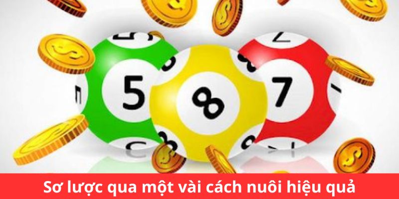 Sơ lược qua một vài cách nuôi hiệu quả